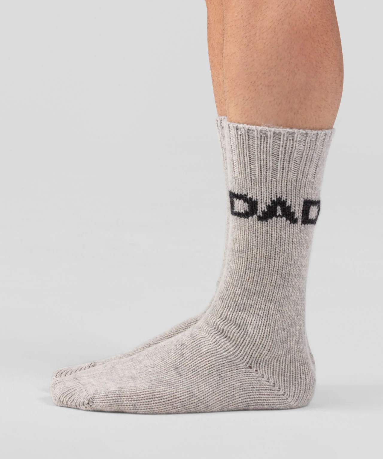 Fjällsocks "DAD": Beige Melange - Image 3